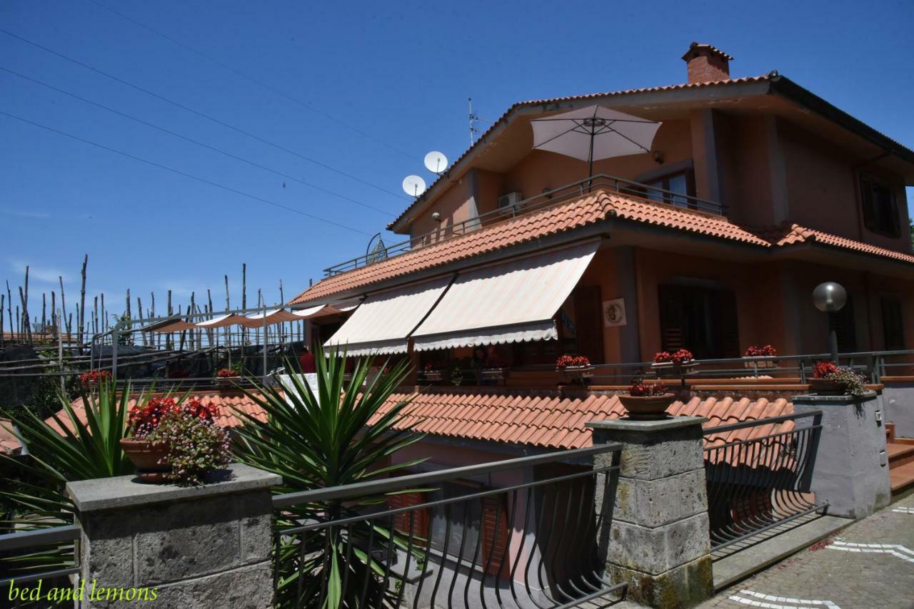 Bed And Lemons Bed & Breakfast Пиано ди Соренто Екстериор снимка