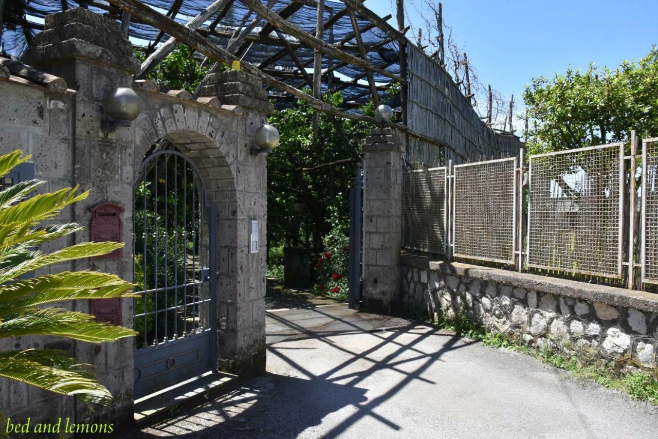 Bed And Lemons Bed & Breakfast Пиано ди Соренто Екстериор снимка