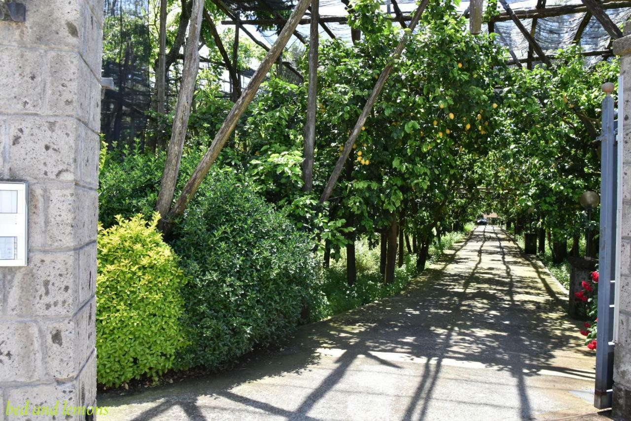 Bed And Lemons Bed & Breakfast Пиано ди Соренто Екстериор снимка